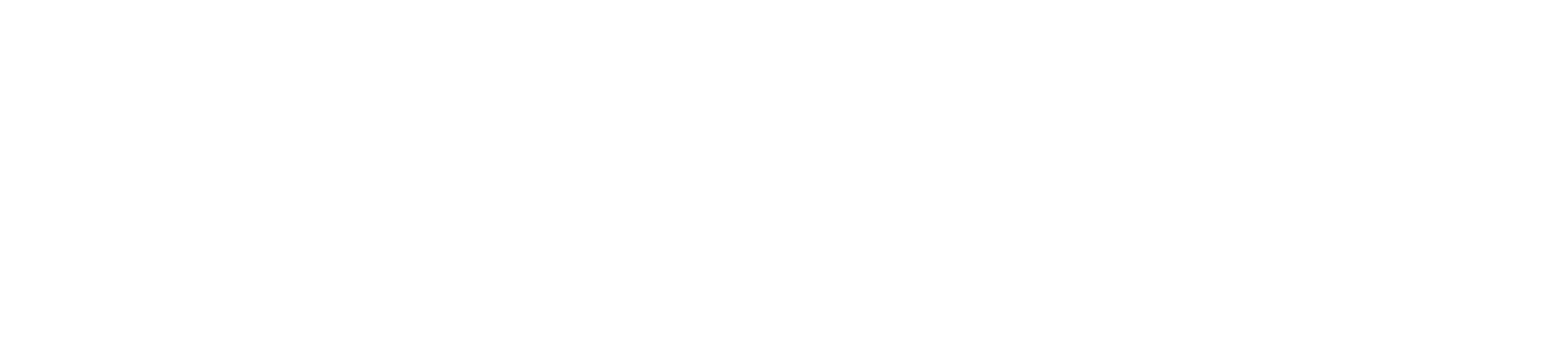 Co-funded by the European Union logo